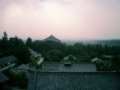d0007913_13558.jpg