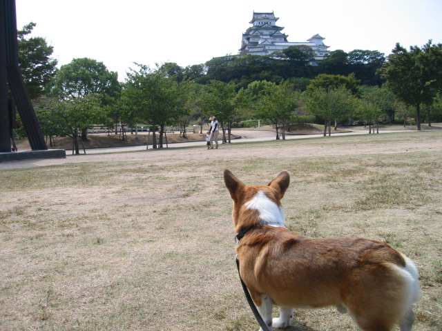 e0077528_14274625.jpg