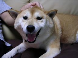 京都を舞台に。。。_c0049950_21555574.jpg