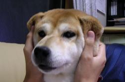京都を舞台に。。。_c0049950_21595175.jpg