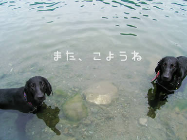 Swimming in Saiko!_c0041197_23373439.jpg