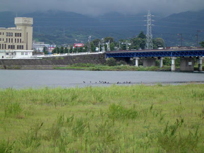 c0011204_10271393.jpg