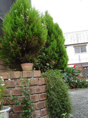 c0011204_1052271.jpg