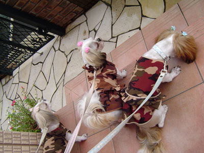 c0011204_105356.jpg