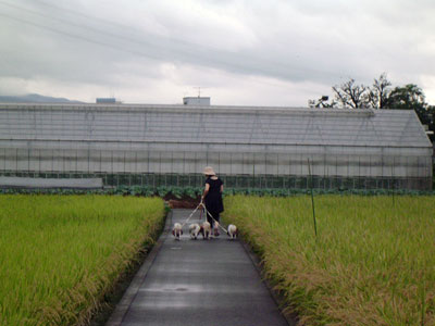 c0011204_10573481.jpg