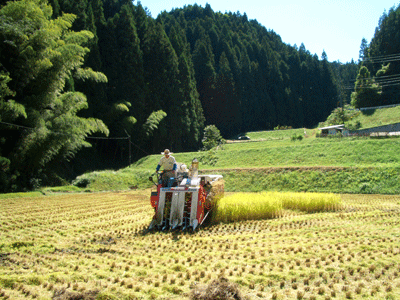 b0030123_1143511.gif