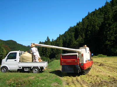 b0030123_11445882.gif