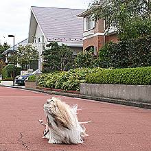 c0028424_19472765.jpg
