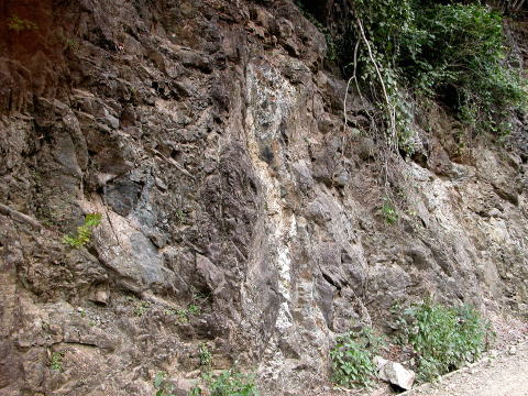 d0045626_2125138.jpg