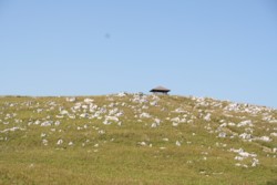 四国カルスト・天狗高原にて（高知県津野町）_c0034228_23414982.jpg