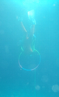 e0082949_18655.jpg