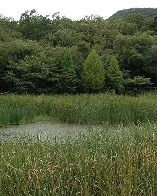 e0035757_22135139.jpg