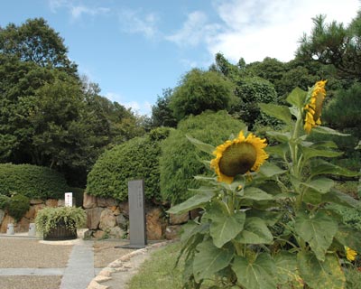 甲山森林公園 自然の写真帖