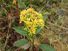 b0053765_23444179.jpg