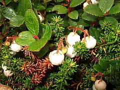 b0053765_23472615.jpg