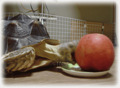 b0055276_215575.gif