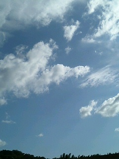 e0055980_234399.jpg