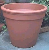 e0045792_17421824.jpg
