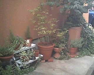 e0045792_1874136.jpg