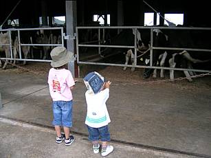 c0037794_8221144.jpg