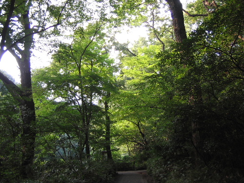 b0046210_19414.jpg
