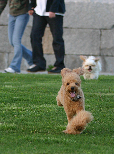 a0016311_04397.jpg