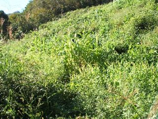 e0002820_23173798.jpg