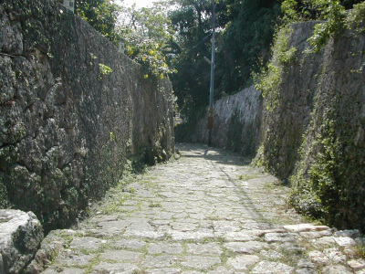 d0053032_16204244.jpg