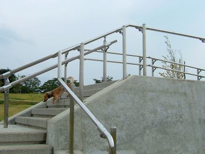 b0070747_20581586.jpg