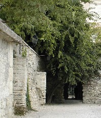 e0065758_22637.jpg