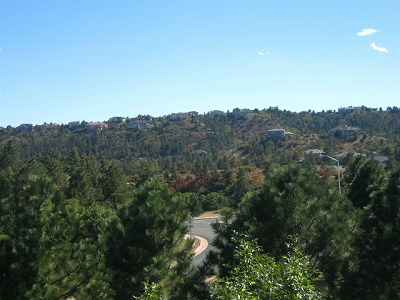 b0034565_621123.jpg