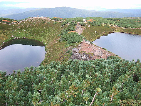 b0053765_1071682.jpg