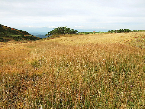 b0053765_2235997.jpg