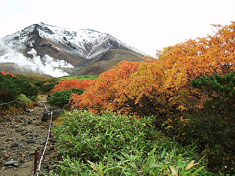 b0053765_22372170.jpg