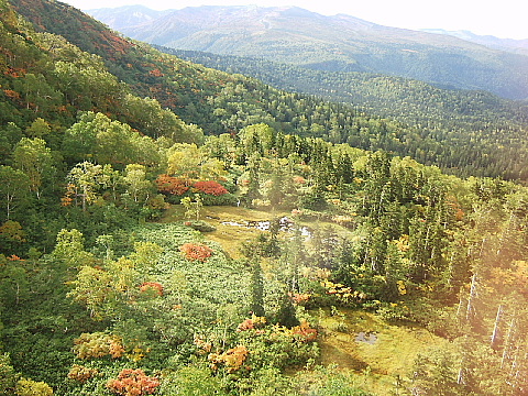 b0053765_22432473.jpg