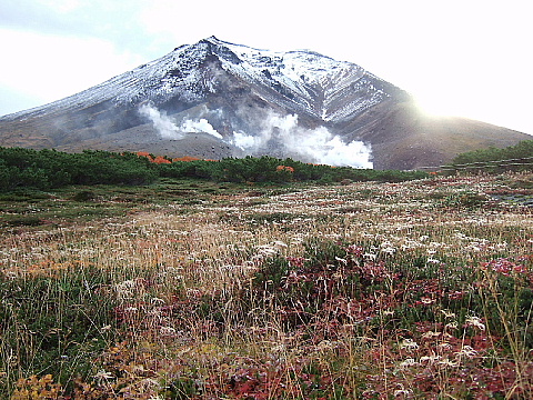 b0053765_9315629.jpg
