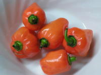 食べもの_b0016474_209948.jpg