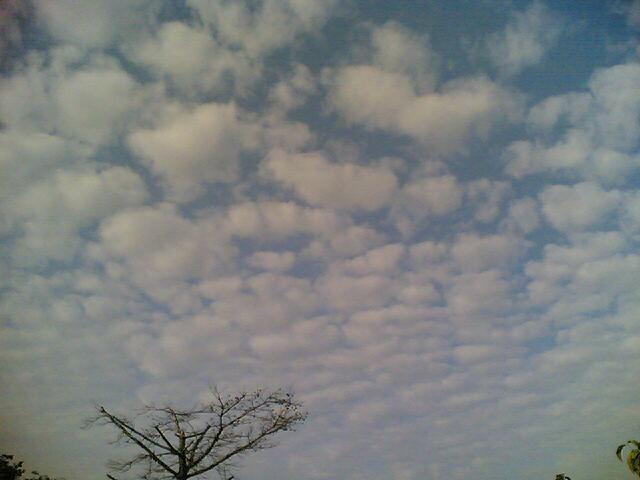 e0035892_22423268.jpg