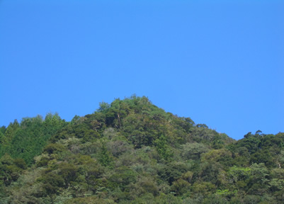 b0067598_1262121.jpg