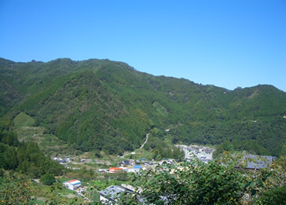 b0067598_1262923.jpg