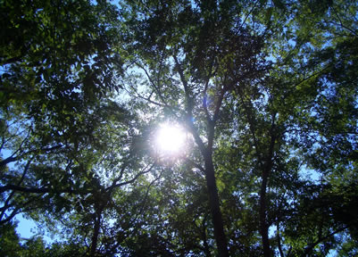 b0067598_1263749.jpg