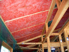 e0054299_17253019.jpg