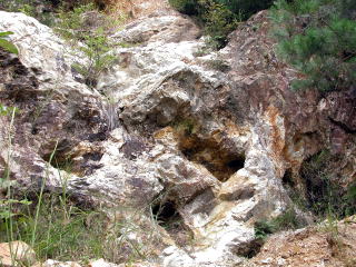 d0045626_21351580.jpg
