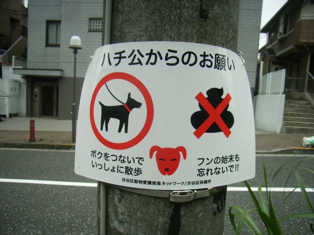 おめかしサトちゃん_c0062832_11412157.jpg