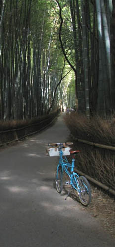 京都の路_a0014853_235345.jpg