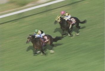 a0008459_0435595.gif