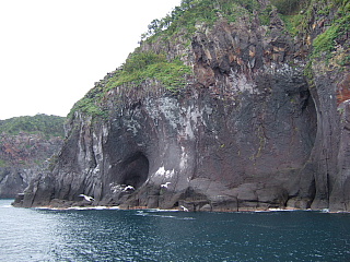 b0053765_2015162.jpg