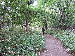 b0053765_2275322.jpg