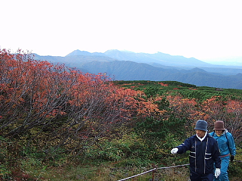 b0053765_846488.jpg