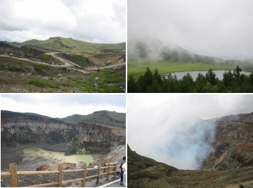 d0014408_13281398.gif